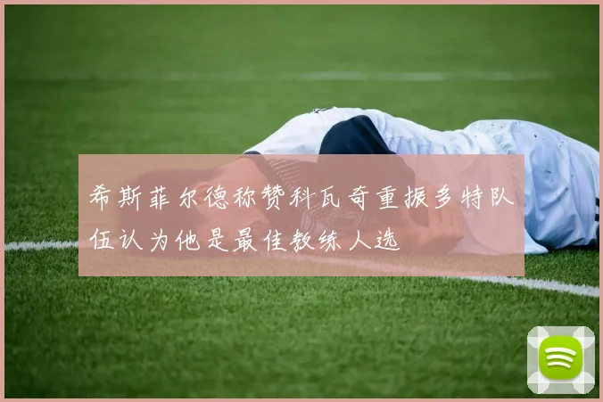 希斯菲尔德称赞科瓦奇重振多特队伍认为他是最佳教练人选